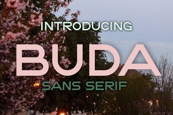 Buda Typeface: Elevating Editorial Design with Modern Sans Serif Style