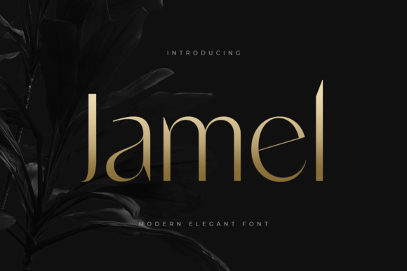 Jamel Typeface: A Designer’s Review for Modern Campaigns