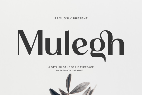 Mulegh Font: A Modern Touch for Your Web Design Projects