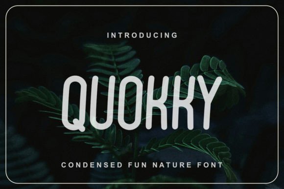 Quokky: The Sweet, Assertive Typeface for Clearer Campaigns