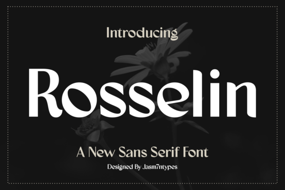 Rosselin Font: A Modern Typeface for Polished Web Design